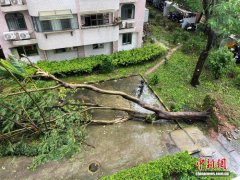 深圳：16时起在全市范围内解除“五停”